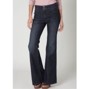 Anthropologie Pilcro and the Letterpress Superscript Jeans Size 26